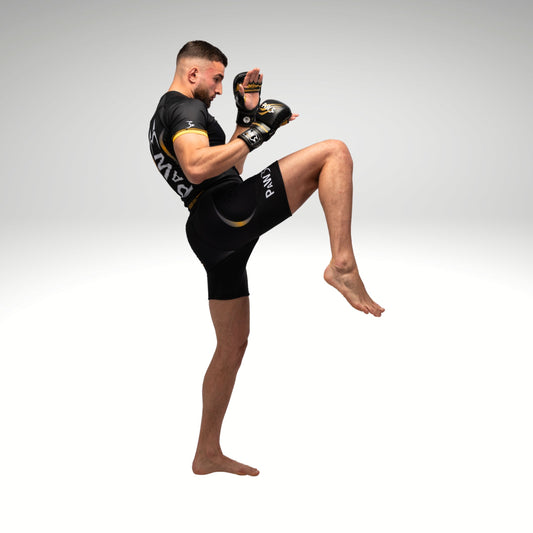PAW GOLDEN ERA COMPRESSION SHORT - PaW Fightwear