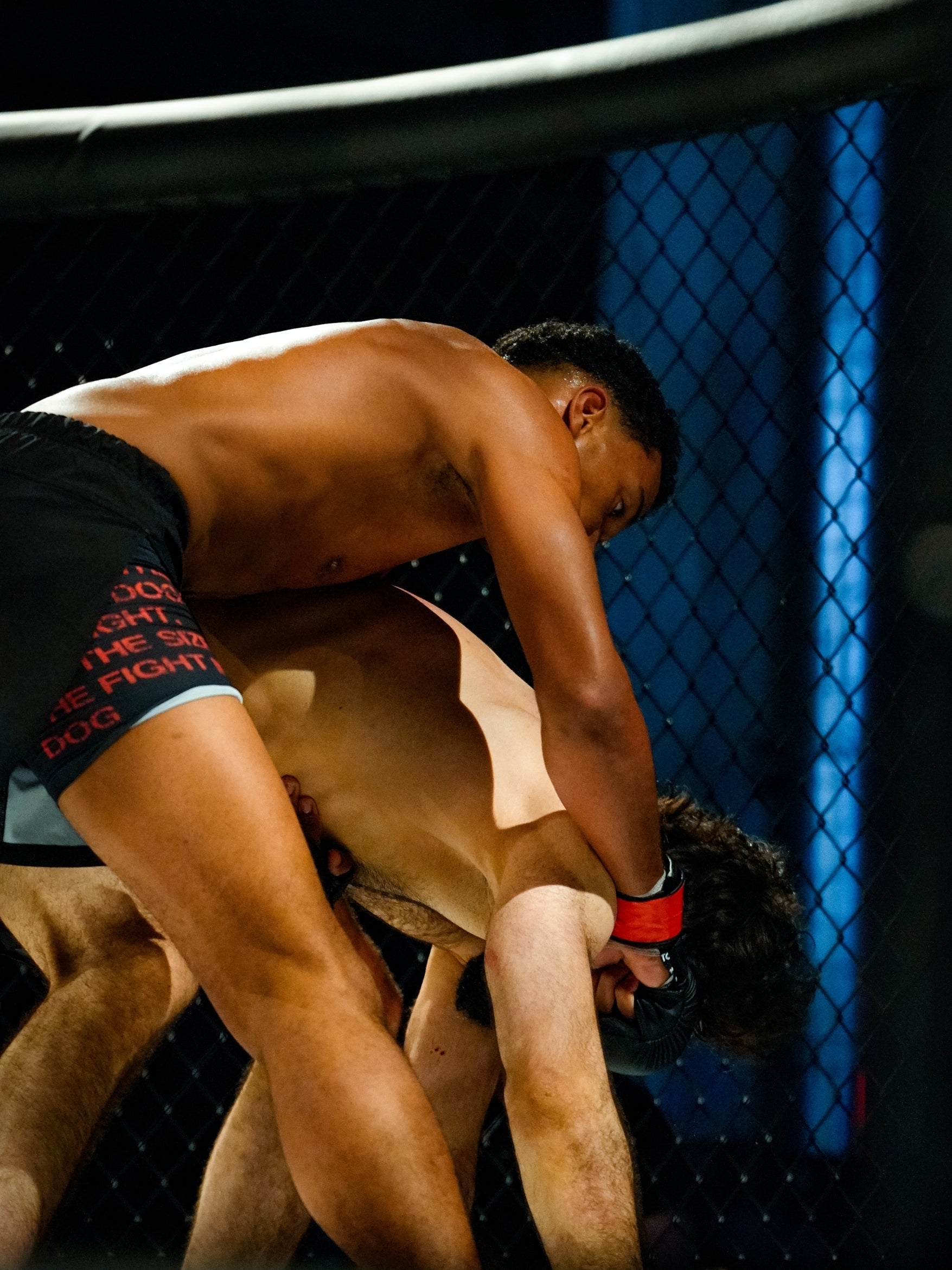MMA - PaW Fightwear
