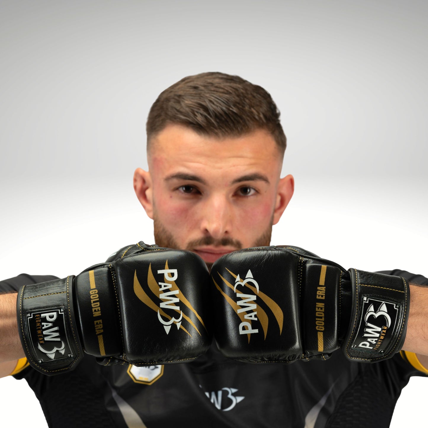 PAW GOLDEN ERA ECHTLEDER MMA BOXHANDSCHUHE - PaW Fightwear