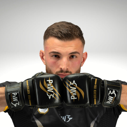 PAW GOLDEN ERA ECHTLEDER MMA BOXHANDSCHUHE - PaW Fightwear